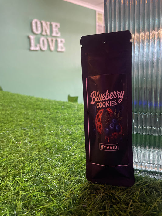 Blueberry Cookies disposable vape